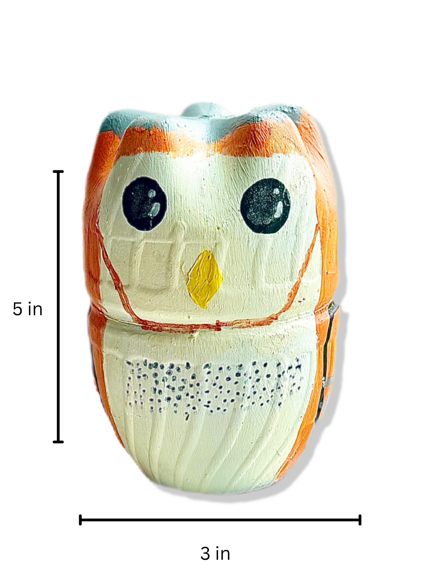 Large Barn Owl