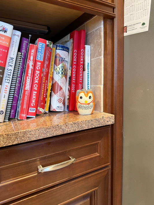 Small Barn Owl