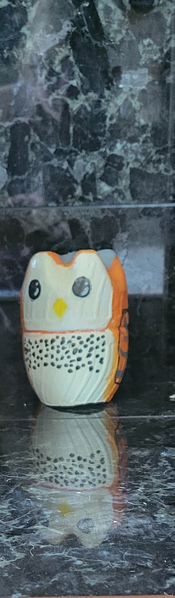 Large Barn Owl